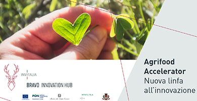 Bravo Innovation Hub Agrifood