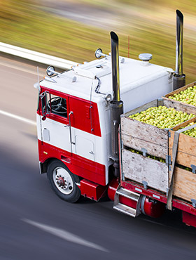 Sviluppo della logistica agroalimentare