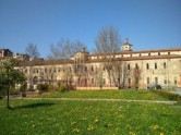 image-alt