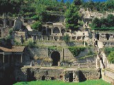 image-alt