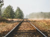image-alt