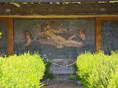 image-alt