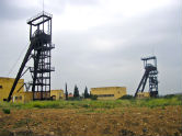 image-alt