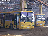 image-alt