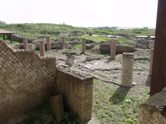 image-alt