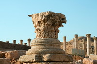 image-alt