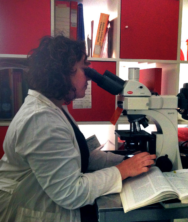 Un laboratorio di analisi per gli amici a 4 zampe