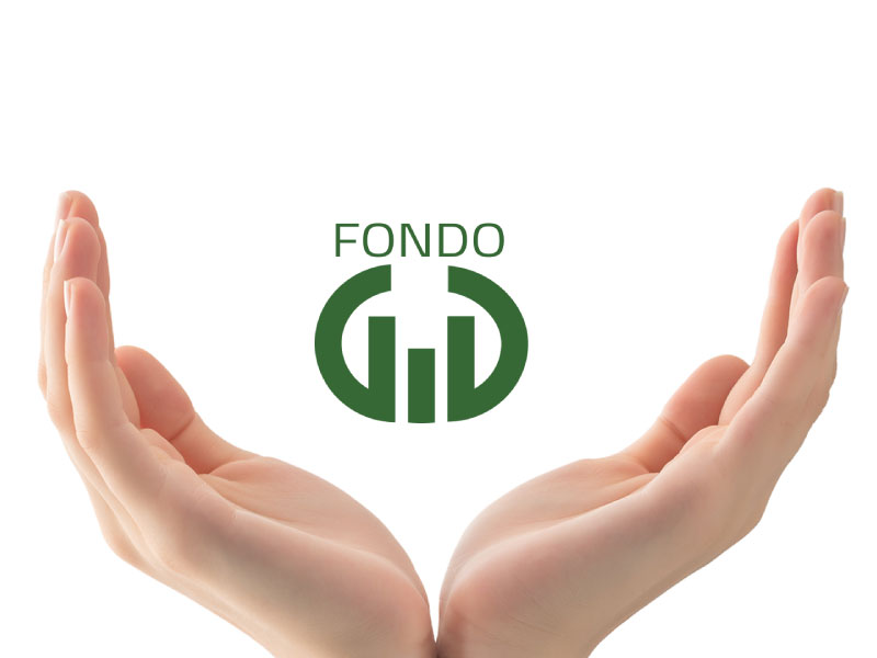 Fondo Grandi Imprese in Difficoltà