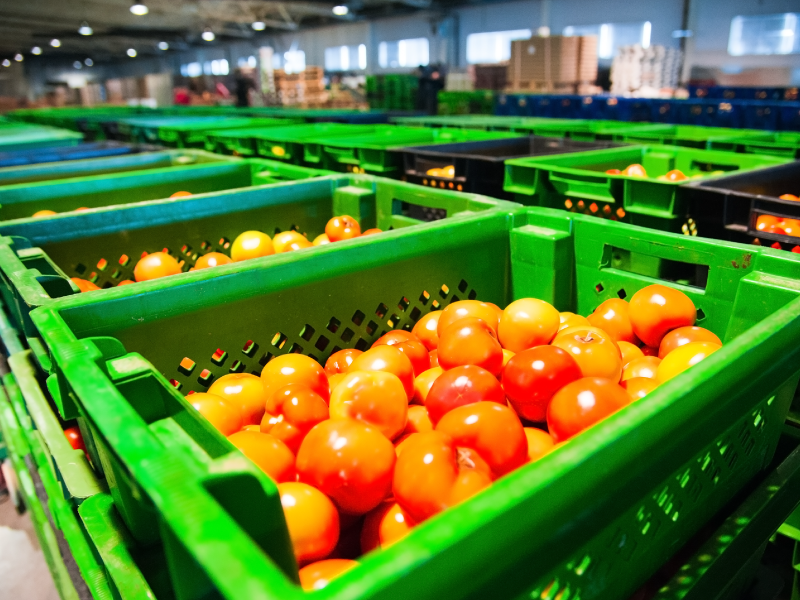 Logistica agroalimentare per i mercati