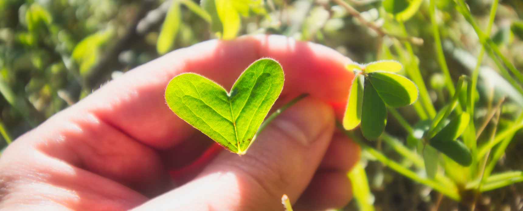 agrifood_1720x696
