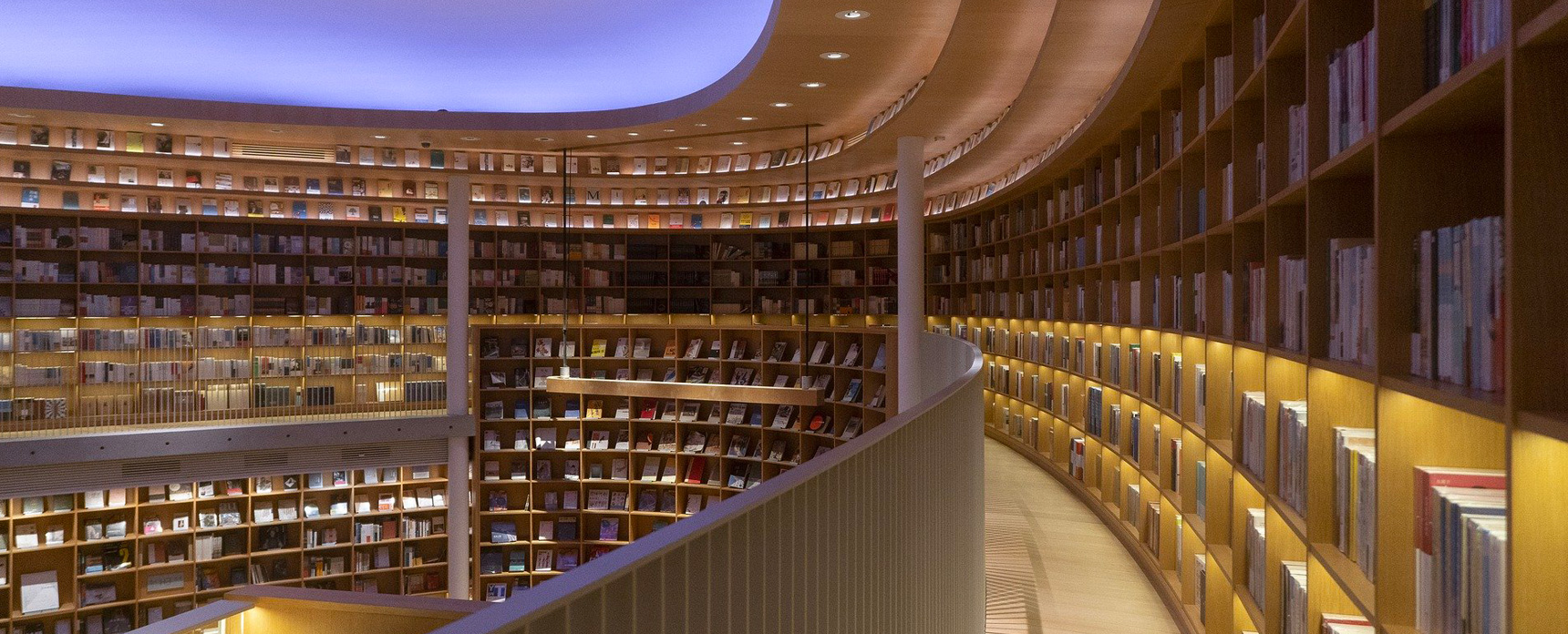Cultura-biblioteca