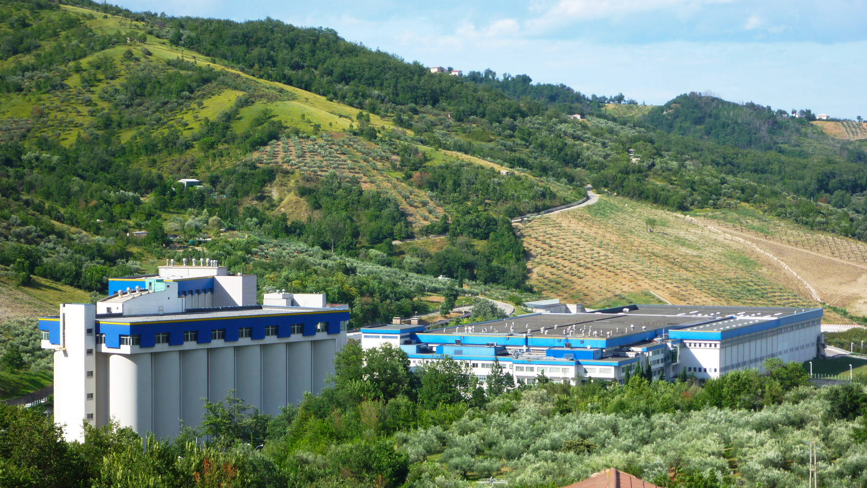 Pastificio De Cecco punta sull'innovazione per consolidare la leadership in Italia