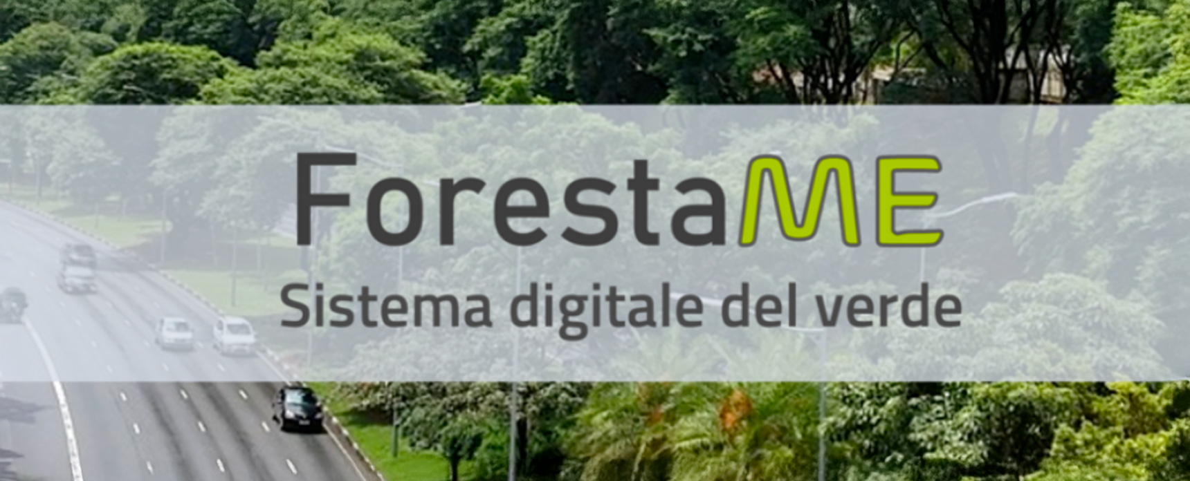 ForestaMe