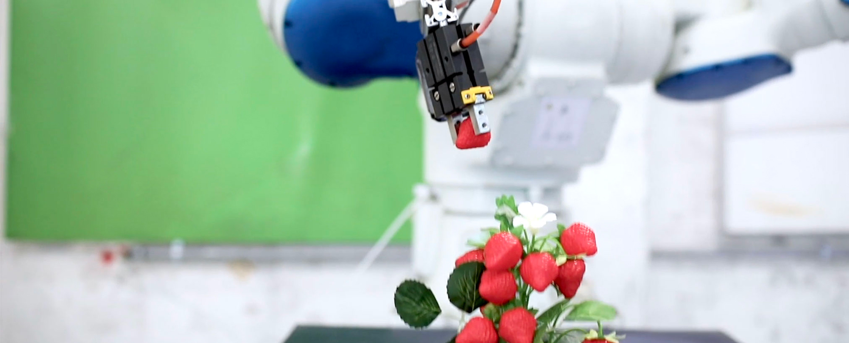Usiamo i robot per costruire il nostro futuro