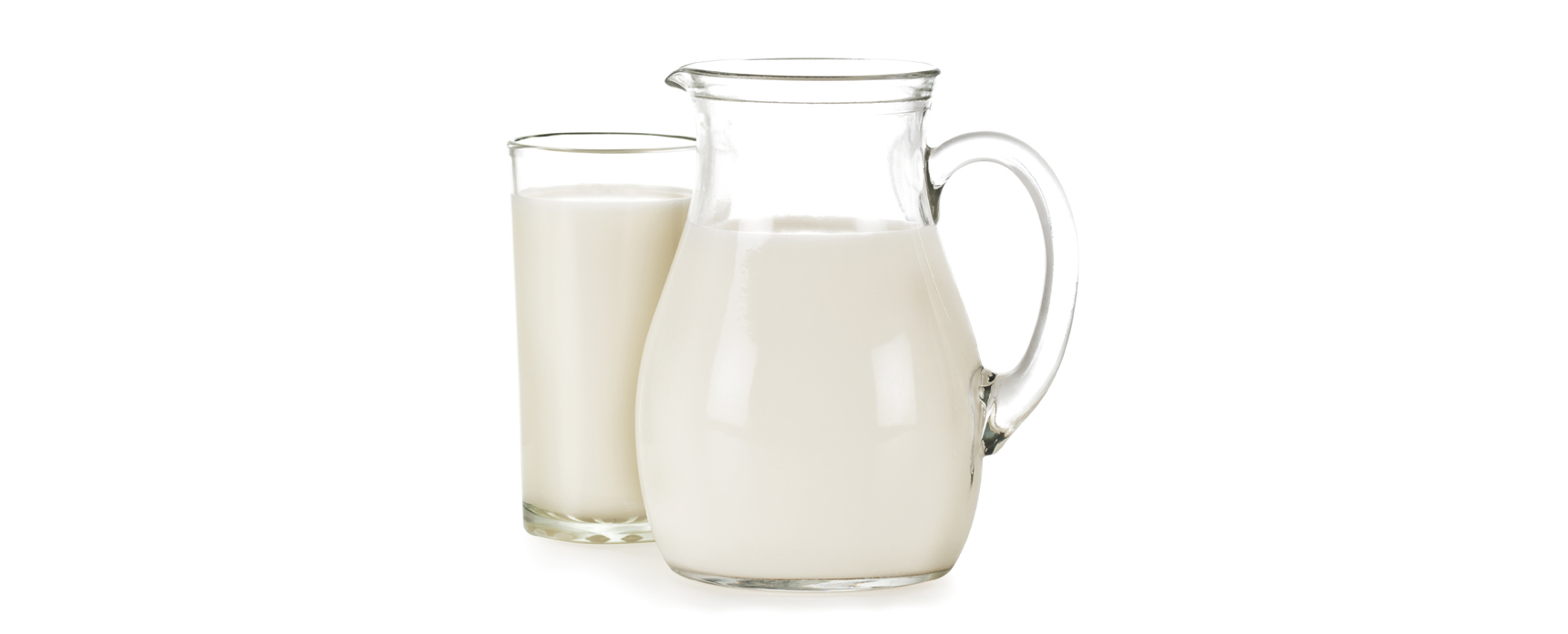 Dal latte equino la proteina che combatte il Rotavirus