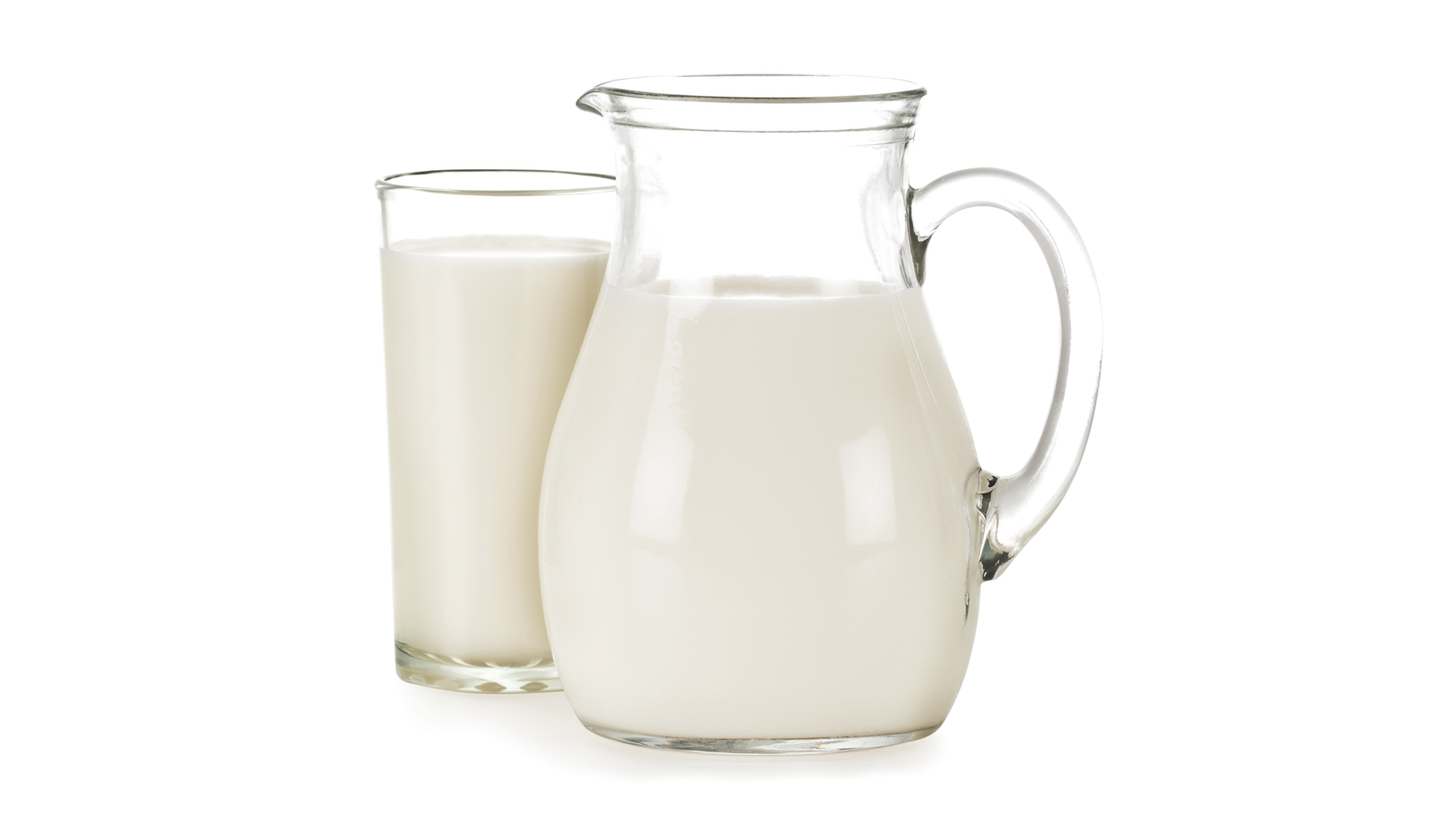 Dal latte equino la proteina che combatte il Rotavirus