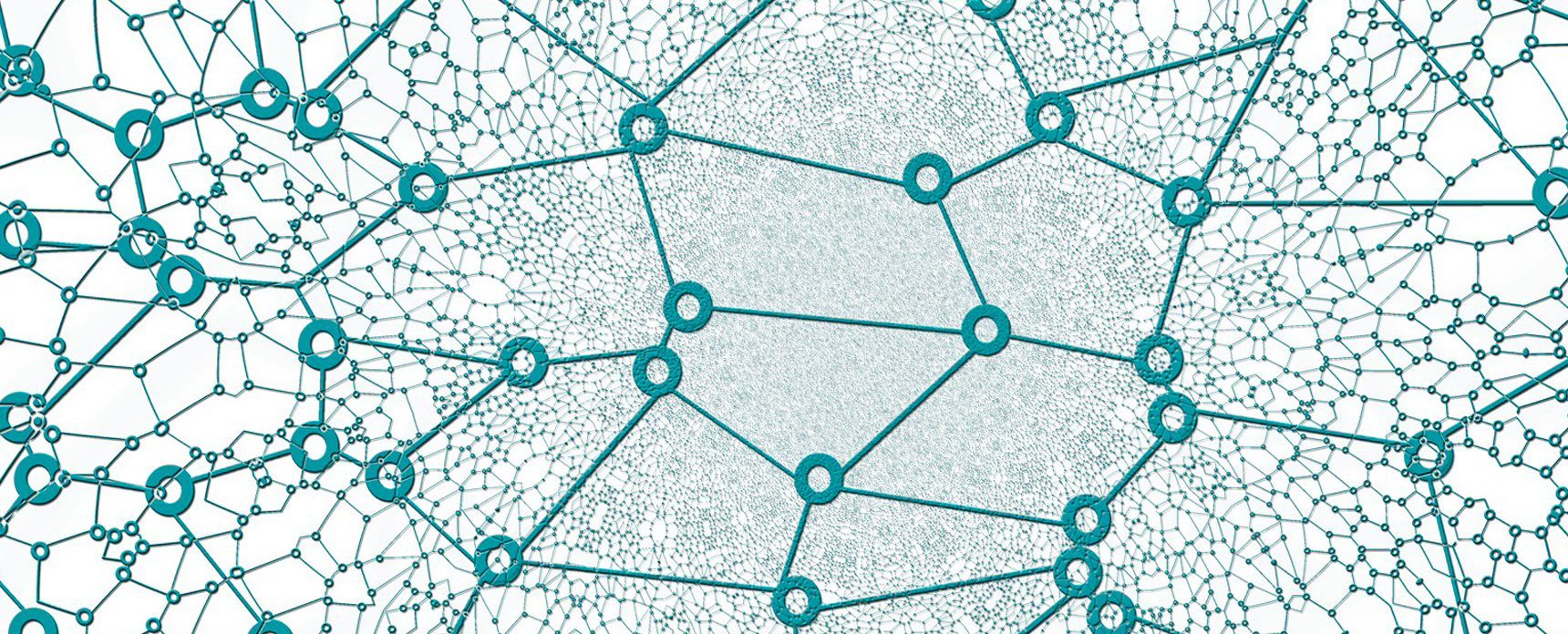 Network