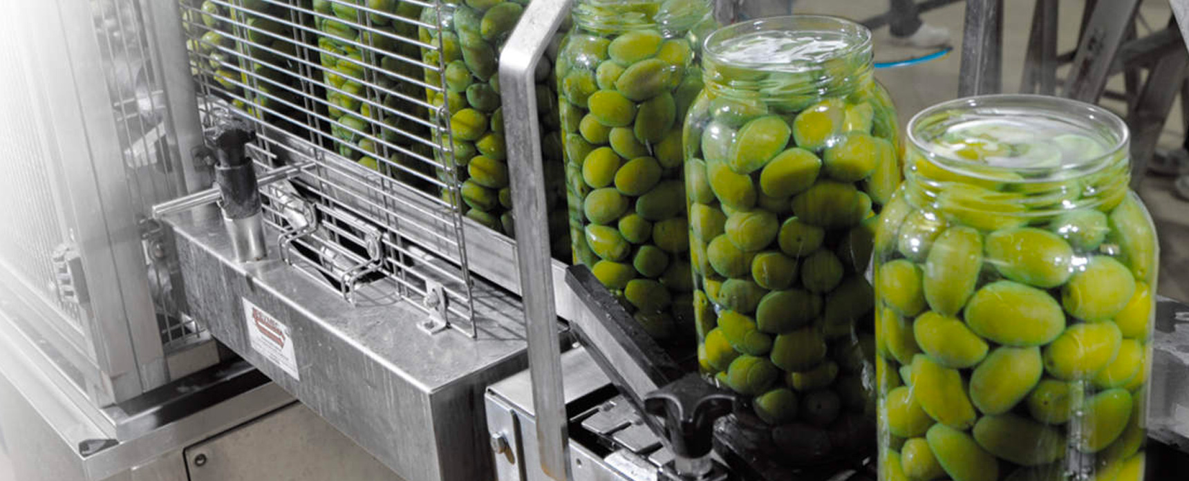 olive_1720x696