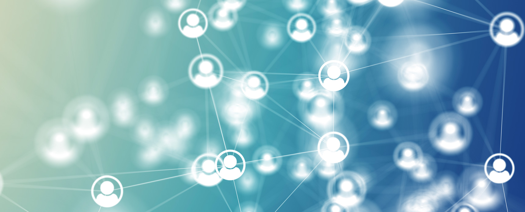 social-bond