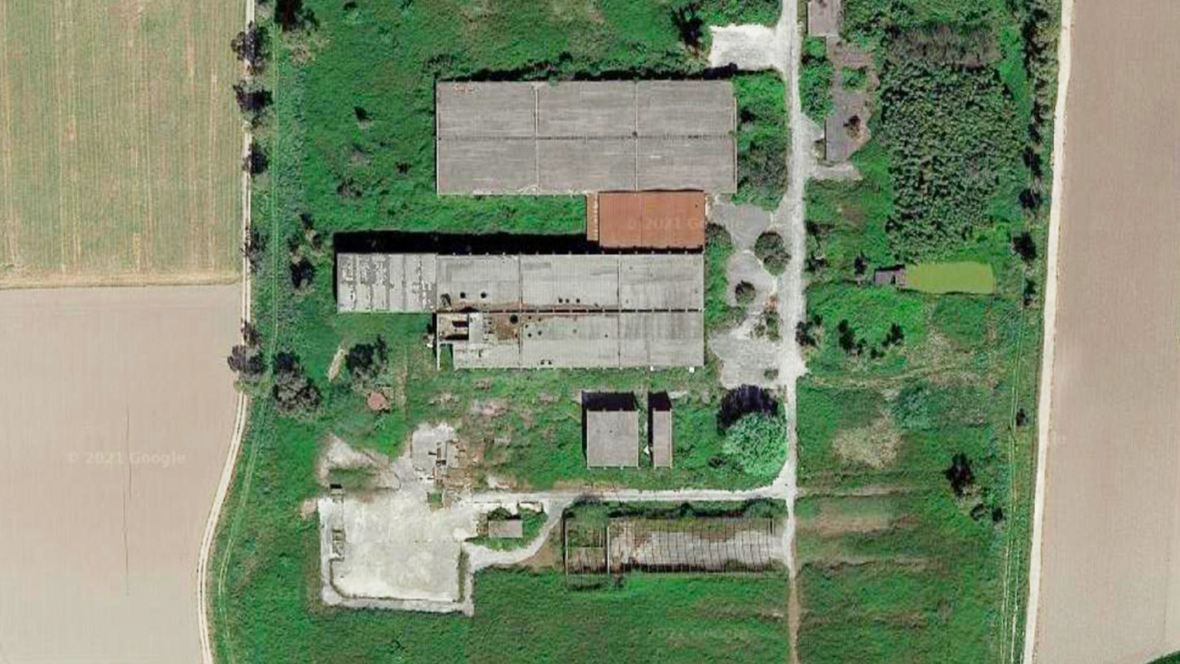 image-alt