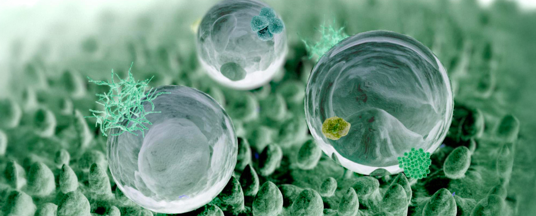 nanotech_17200x696