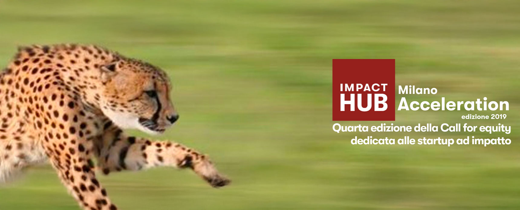 ihmacc_invitalia2019_1720x696