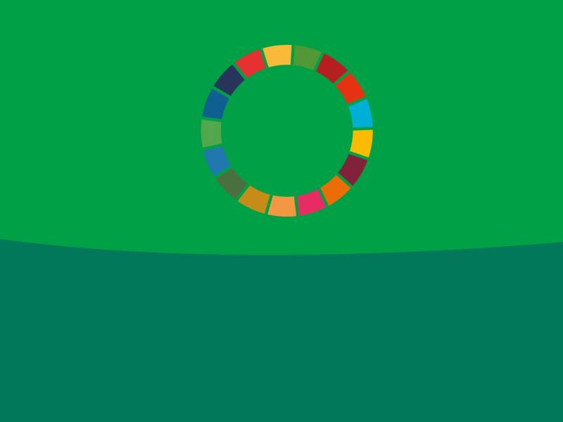 piano di sostenibilità